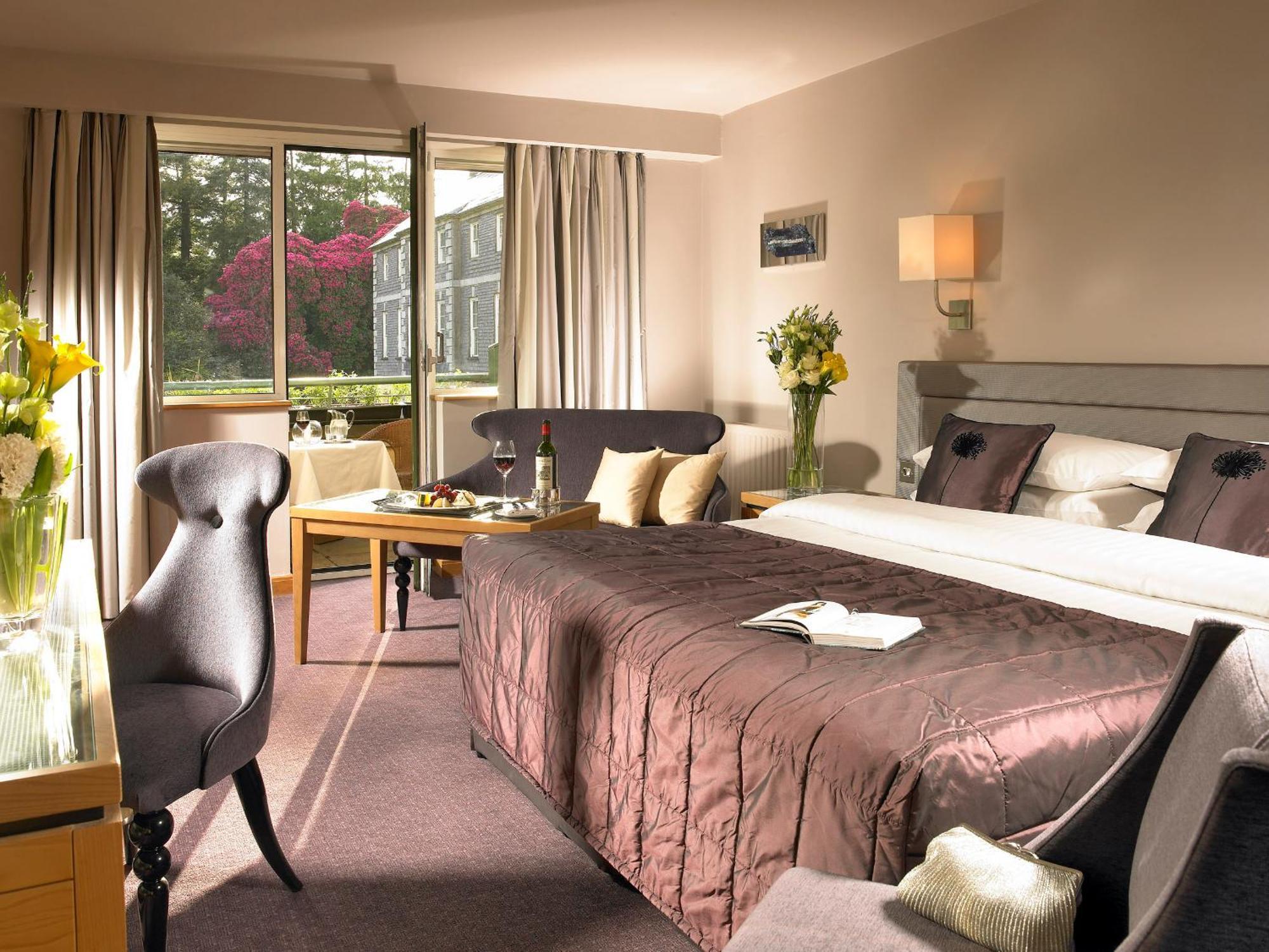 Executive Double or Twin Room,996773617:JPEG